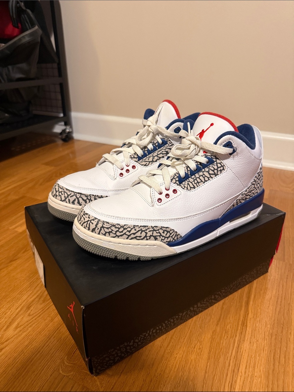 Jordan Retro 3 White Navy Red with Elephant Print